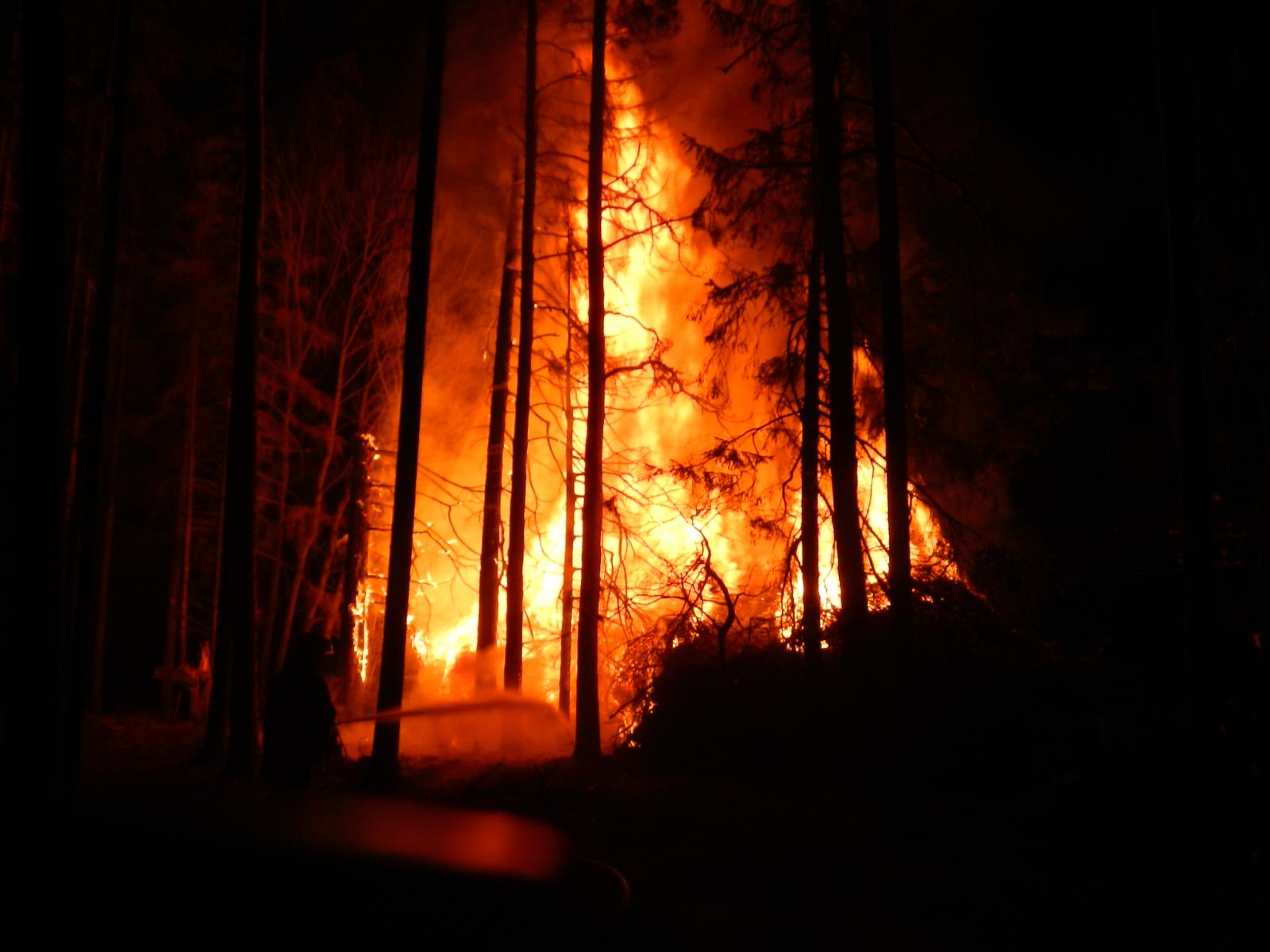 Požár klestu, Jindřichův Hradec - 27. 4. 2019 (3).JPG