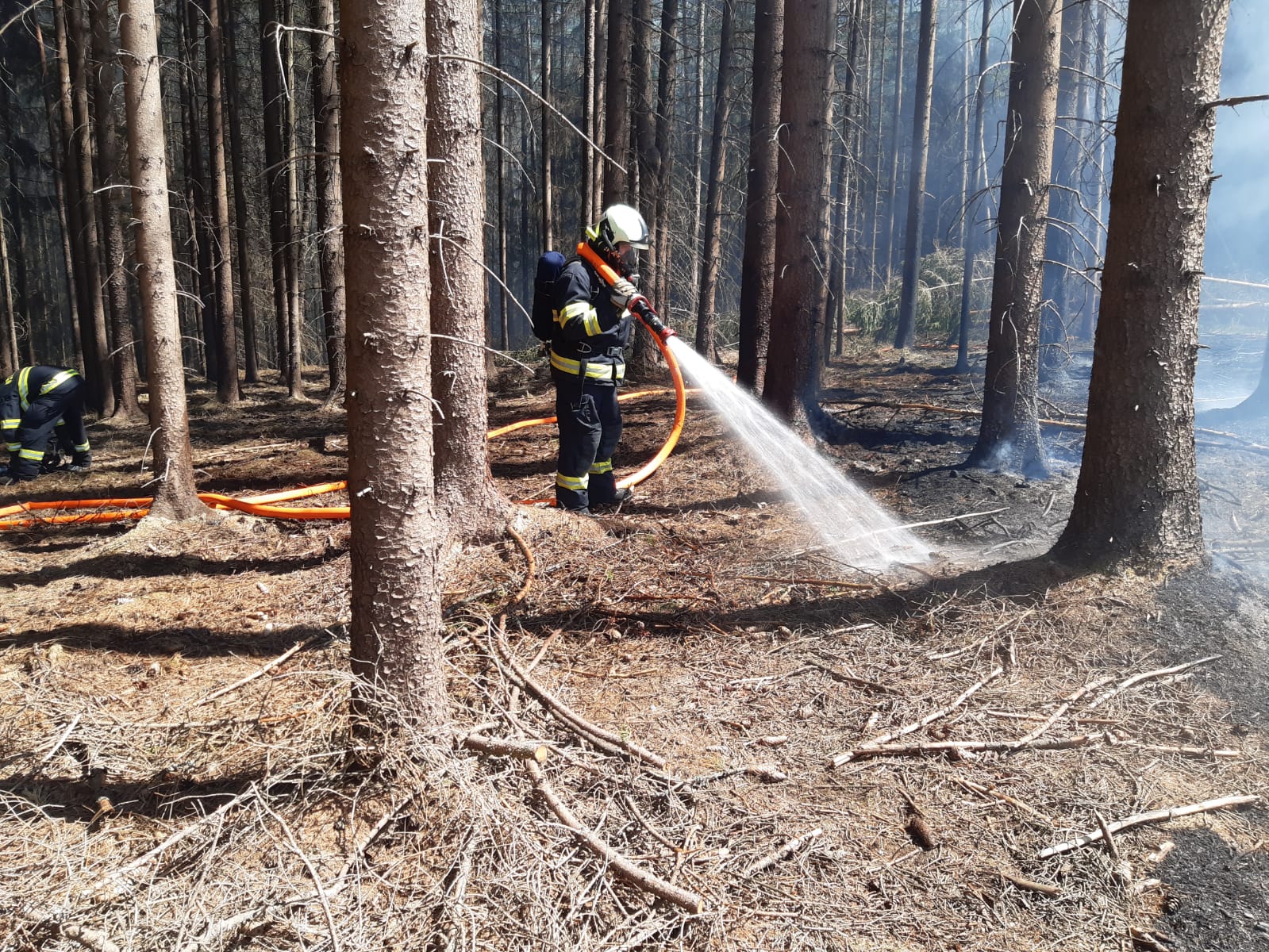 Požár lesa, Vlčeves - 7. 5. 2020 (8).jpg