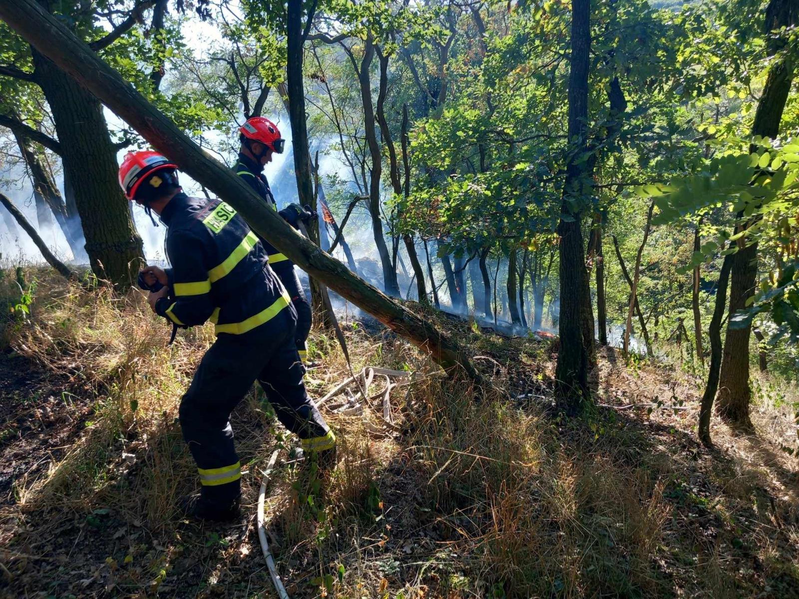 Požár lesa (4).jpeg
