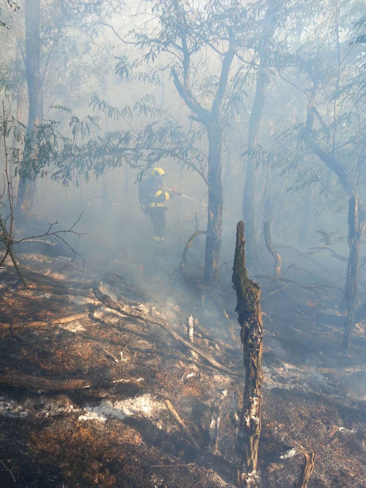 Požár lesa (5).jpeg