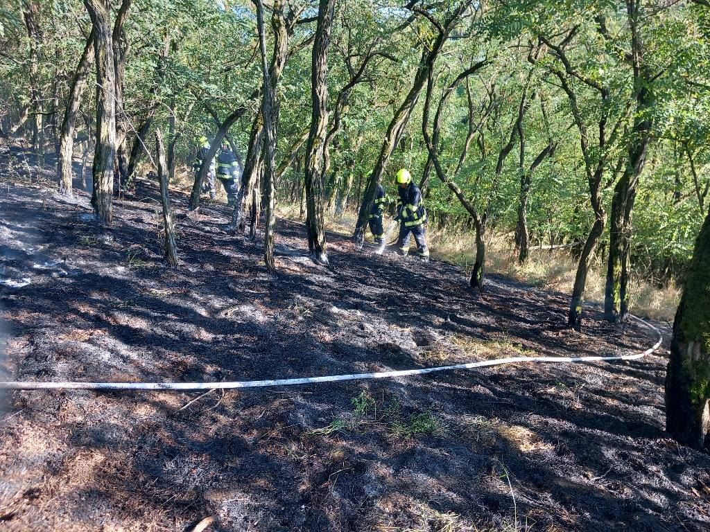 Požár lesa (6).jpeg