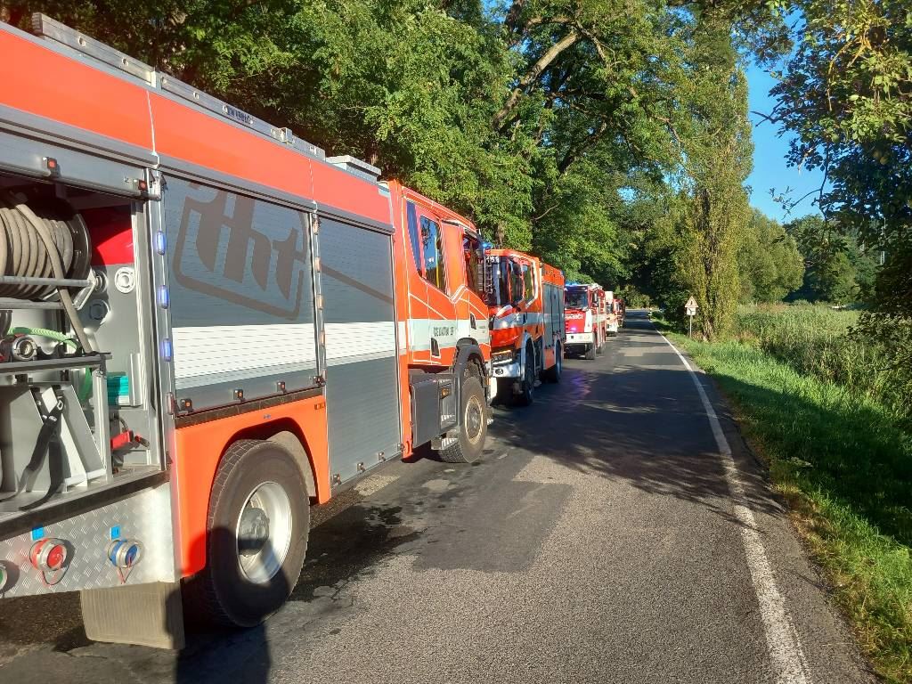 Požár lesa (8).jpeg