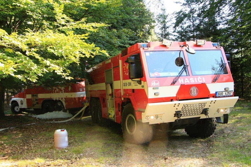 Požár lesního podloží Vysoká Lípa (7).jpg