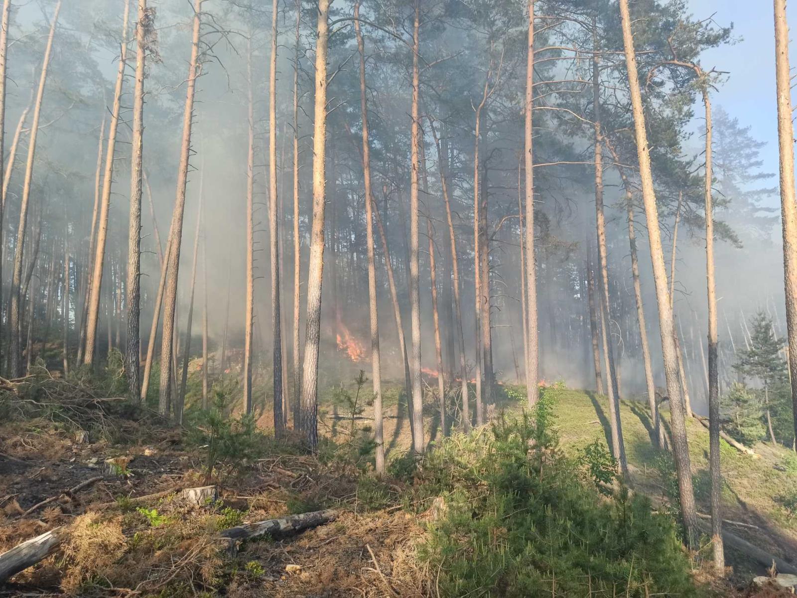 Požár lesního porostu Ralsko, Hradčany