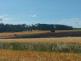 Požár pole, Toužín - 13. 7. 2023 (6)