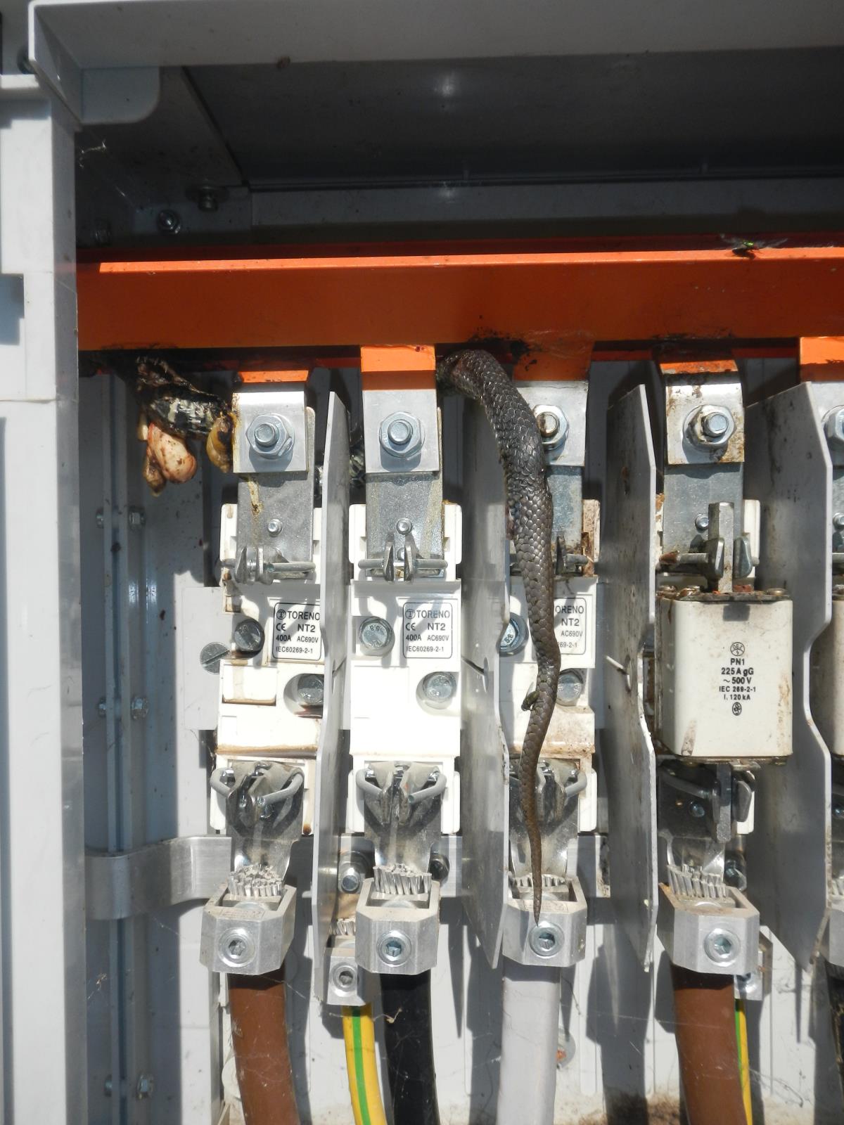 Požár rozvodů, Lipno nad Vltavou - 22. 6. 2017 (3).JPG