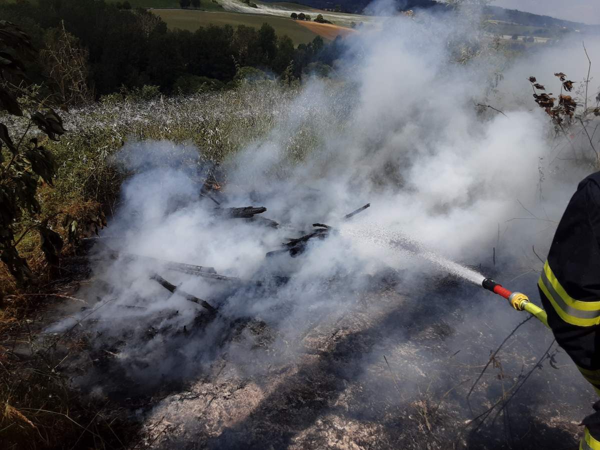 Požár suché trávy a stromů u Salavic na Jihlavsku