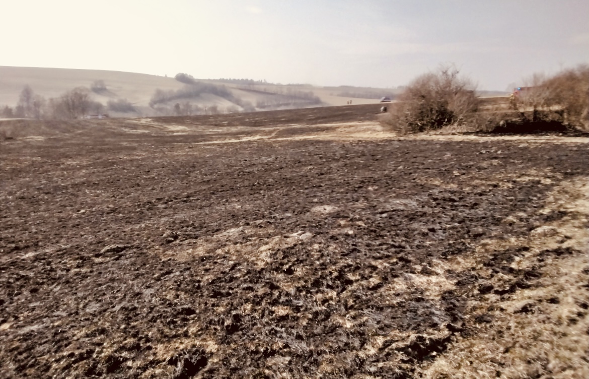 Požáry trávy, keřů a dalších v OLK 26.3.2022