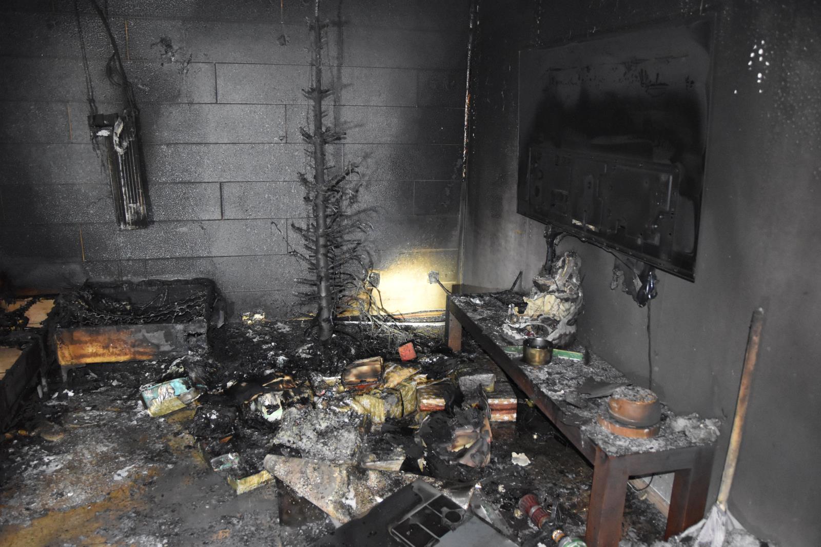 Požáry vánočních stromků 2024