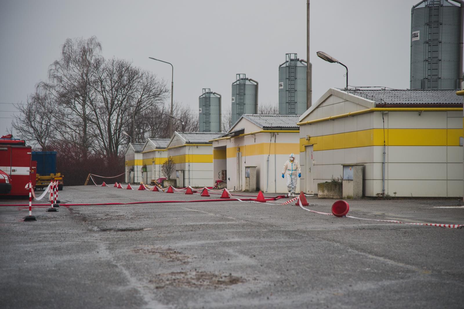 Ptačí chřipka - Kosořín