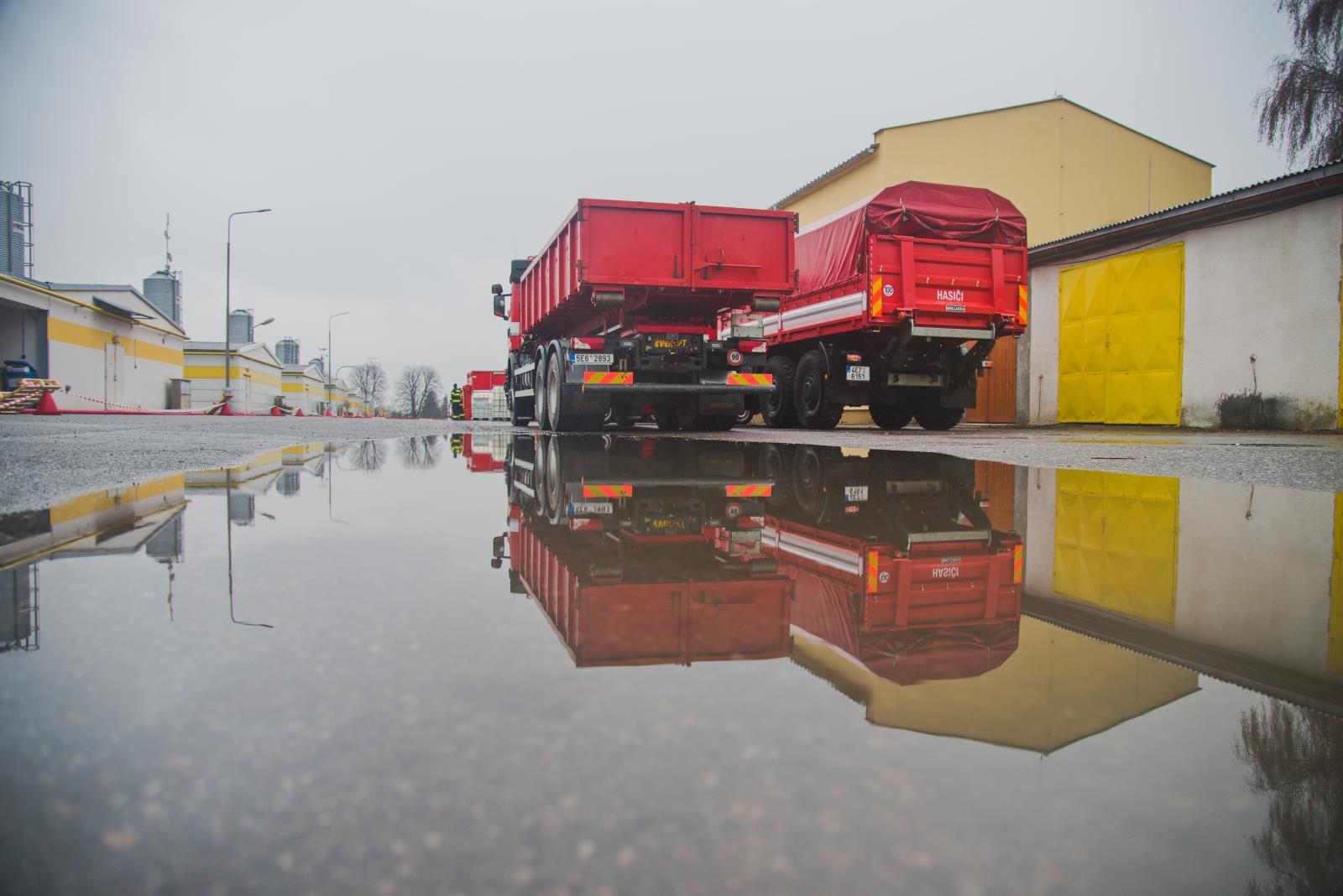 Ptačí chřipka - Kosořín