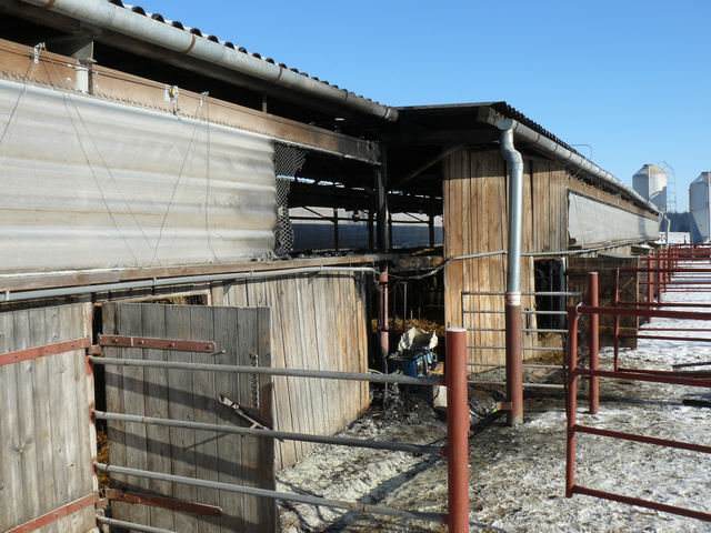 Resize of P1010564.JPG