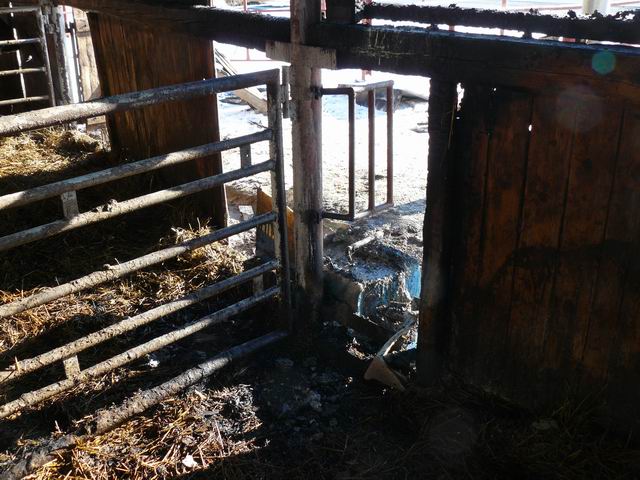 Resize of P1010574.JPG