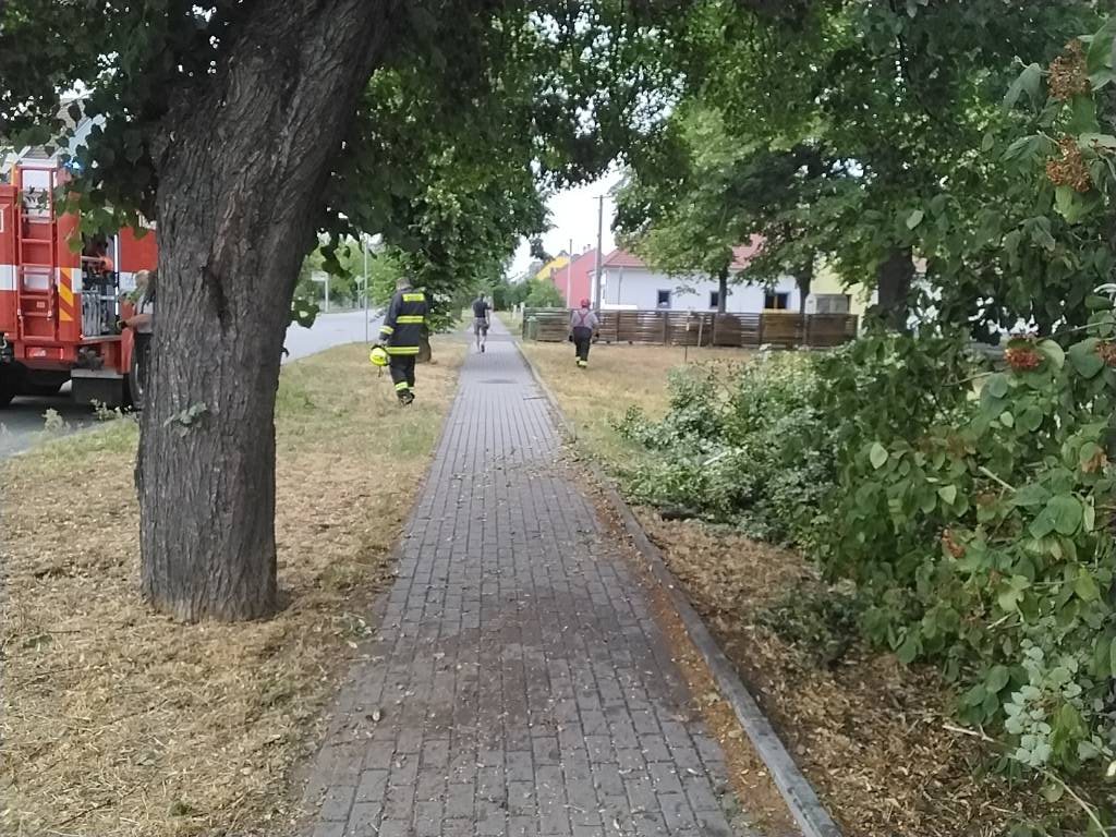 Rohatec.jpeg