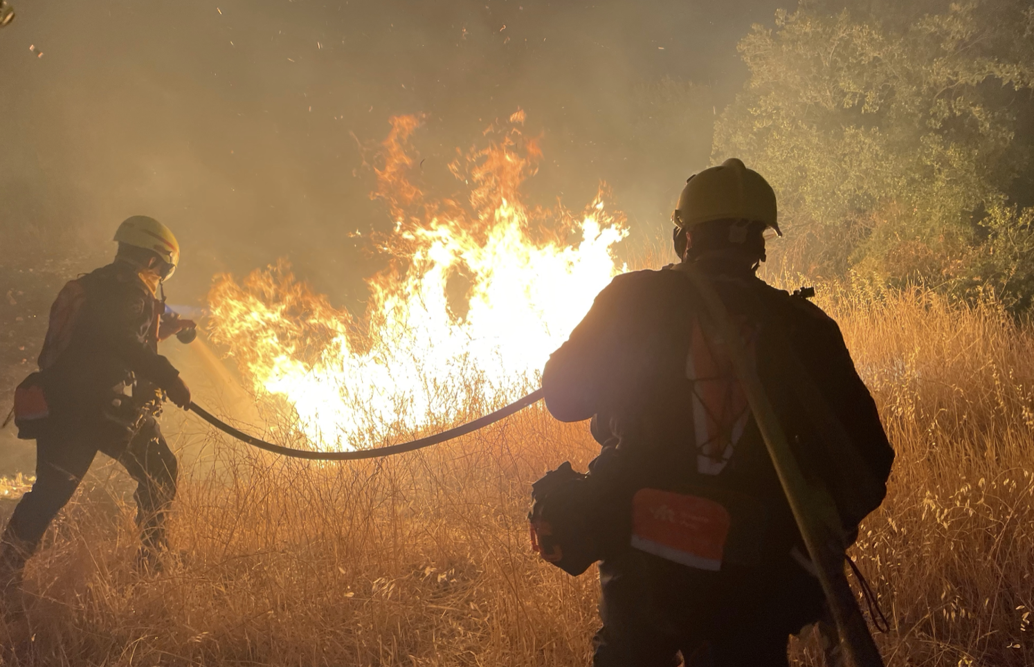 Screenshot 2025-09-20 at 16.53.40.png