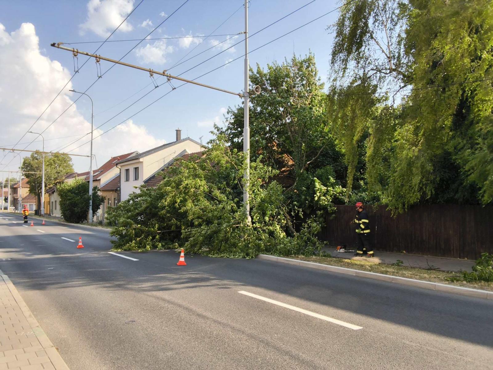 Slatina.jpeg