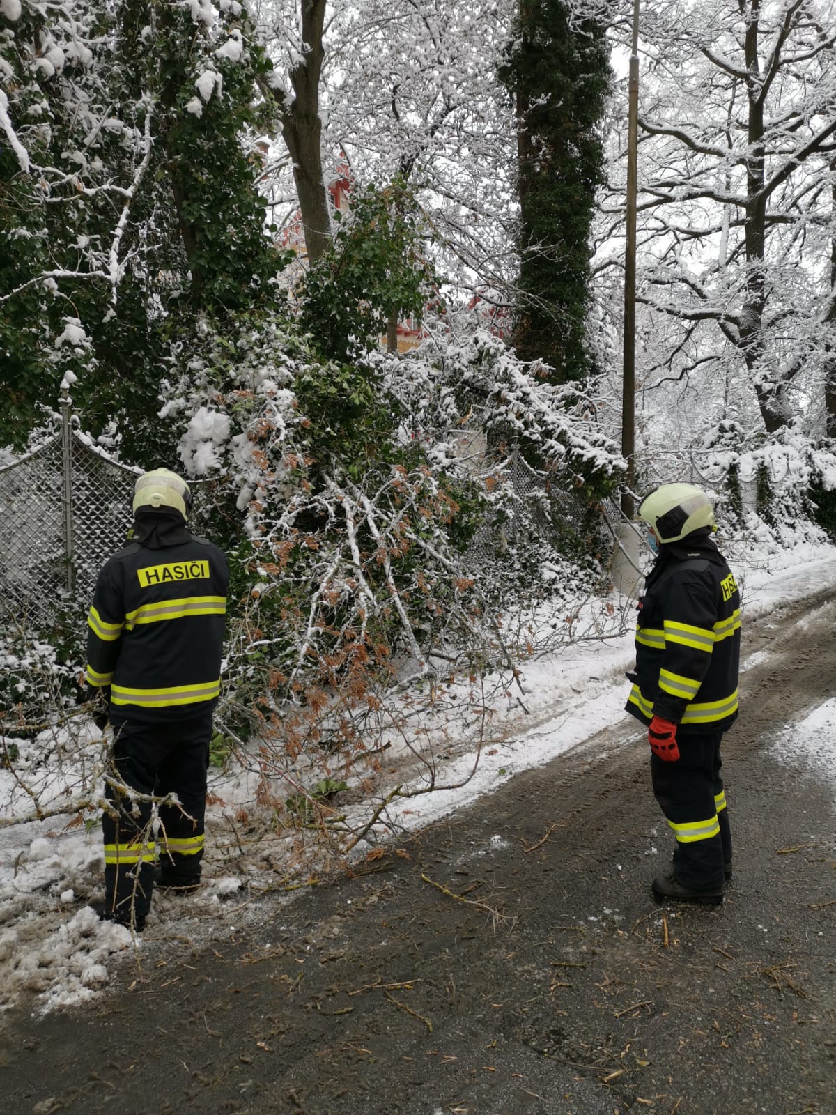 Spadané stromy, České Budějovice - 7. 1. 2021 (4).jpg