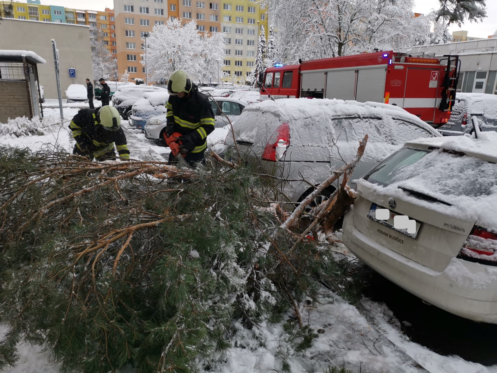 Spadané stromy, České Budějovice - 7. 1. 2021 (5).jpg
