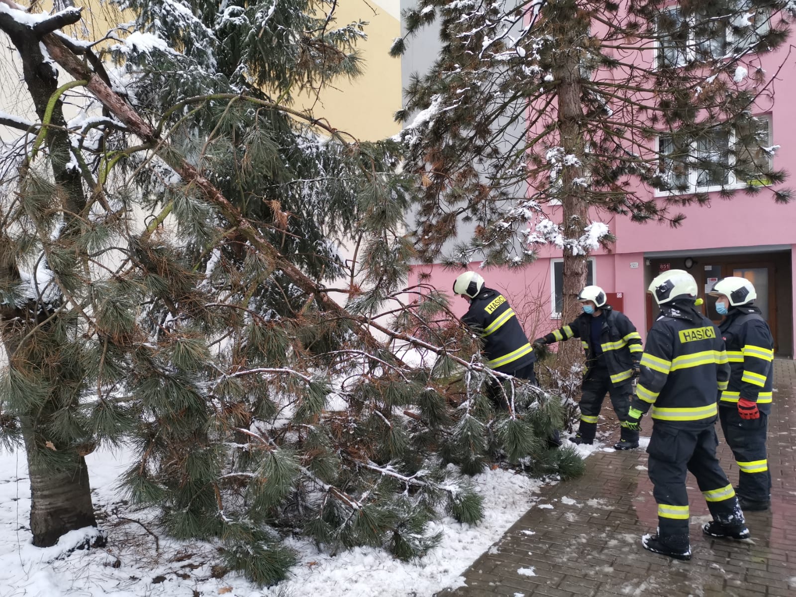 Spadané stromy, České Budějovice - 7. 1. 2021 (8).jpg