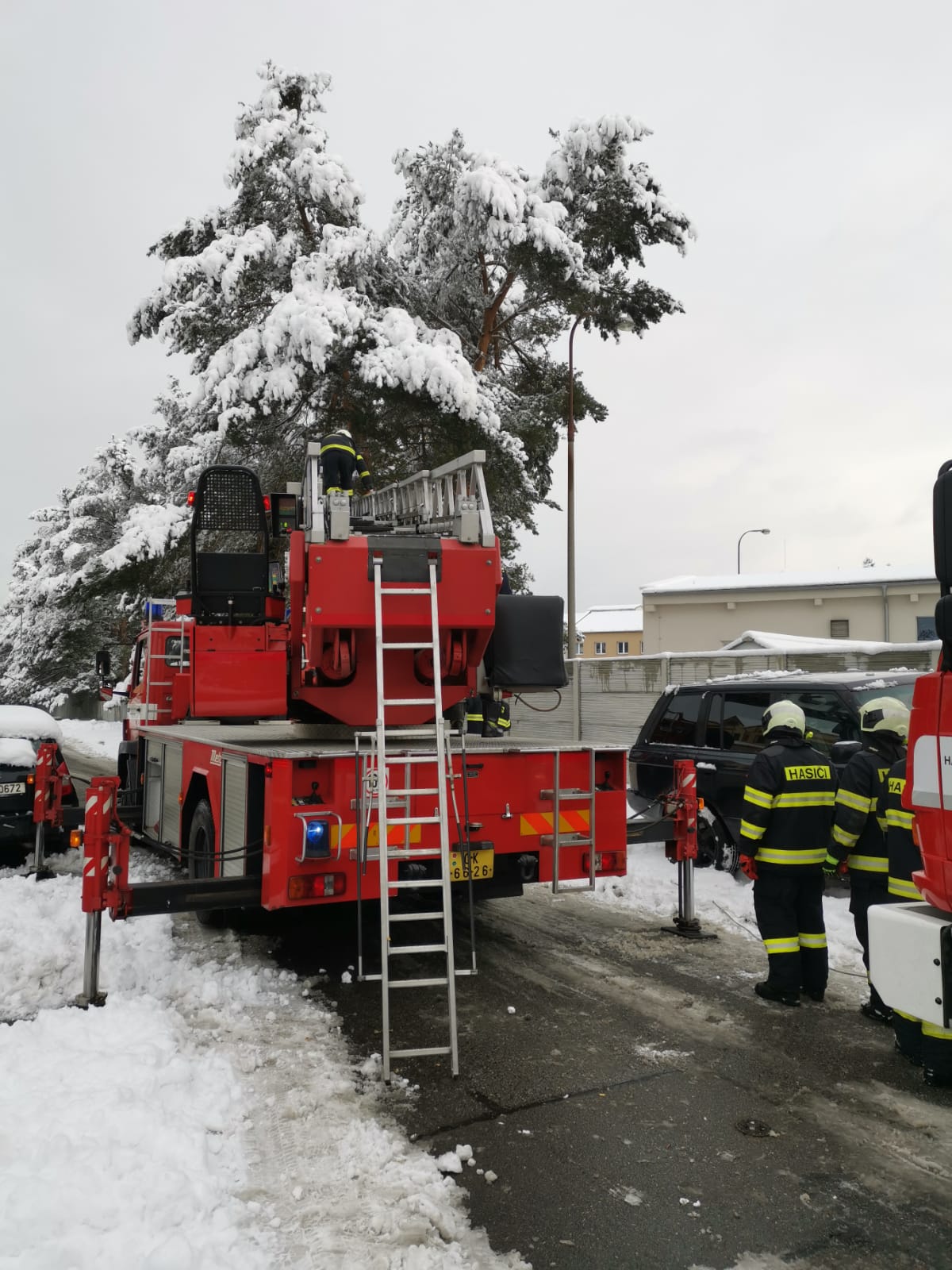 Spadané stromy, České Budějovice - 7. 1. 2021 (9).jpg