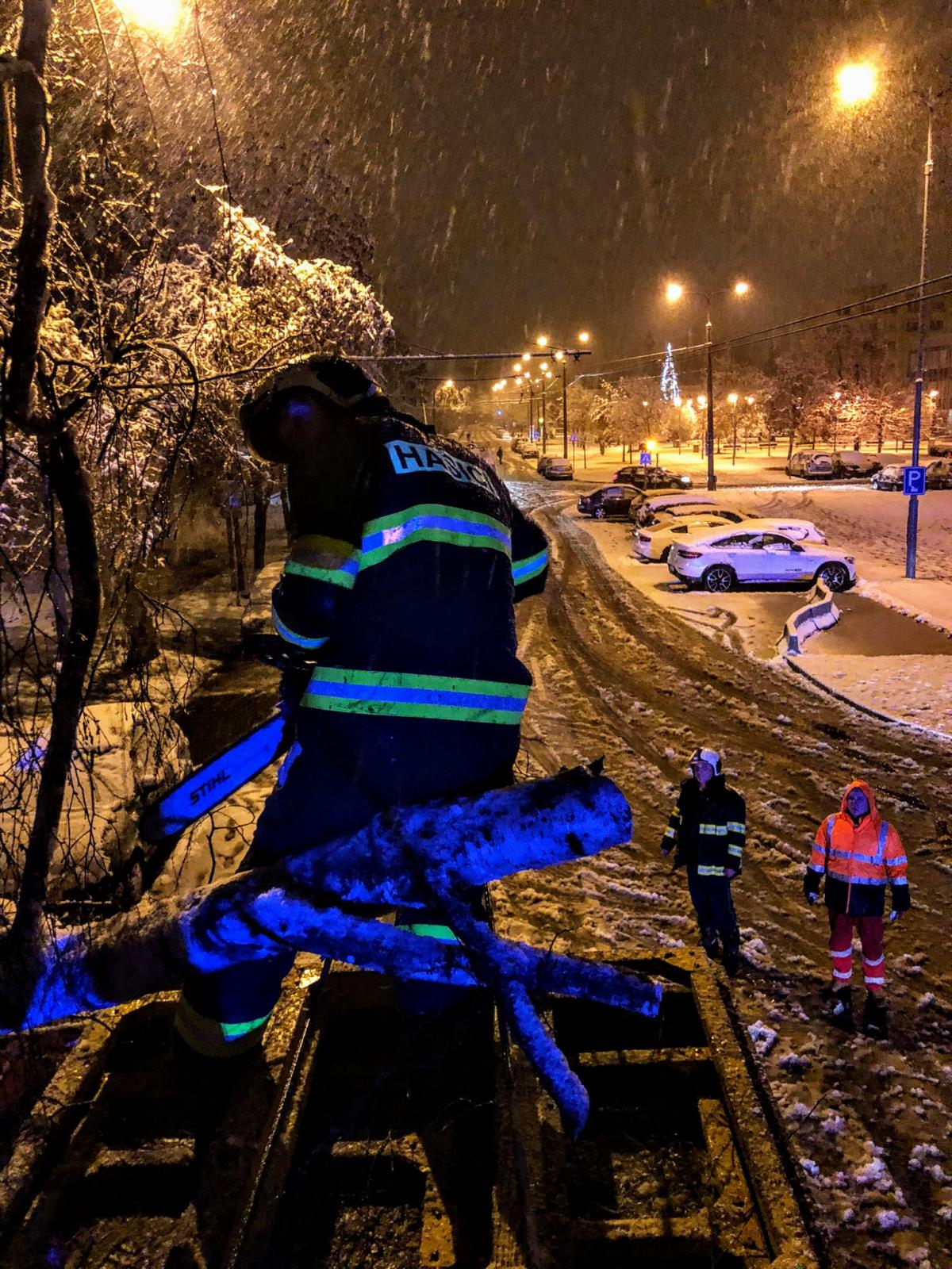 Spadlé stromy, České Budějovice - 6. 12. 2022 (4).jpg