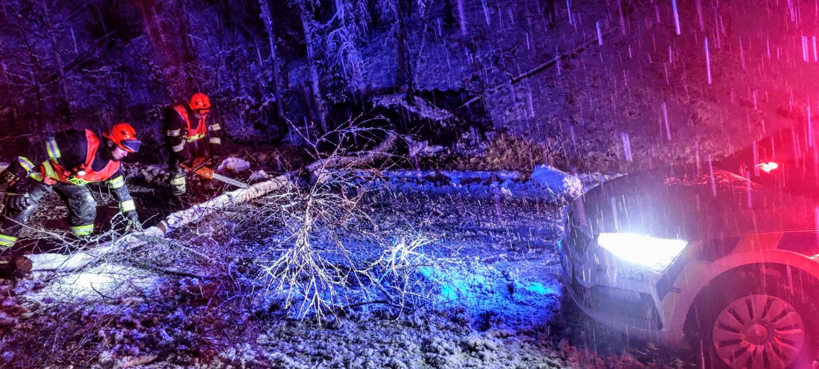 Spadlé stromy, Planá nad Lužnicí - 6. 12. 2022 (3).jpg
