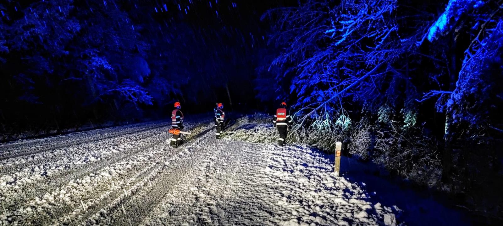 Spadlé stromy, Planá nad Lužnicí - 6. 12. 2022 (7).jpg
