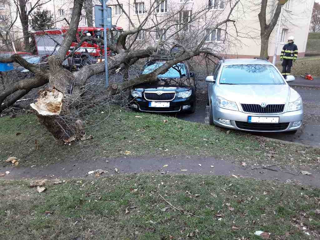 Spadlý strom v Mostě v ulici J. Skupy