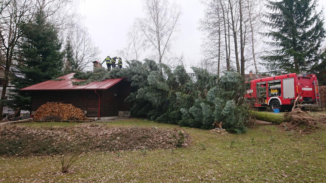 Strom na chatě, Dolní Třebonín  (4).JPG