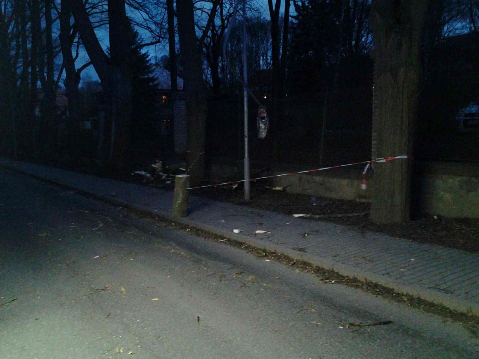 Strom na lampě veřejného osvětlení, Havlíčkův Brod