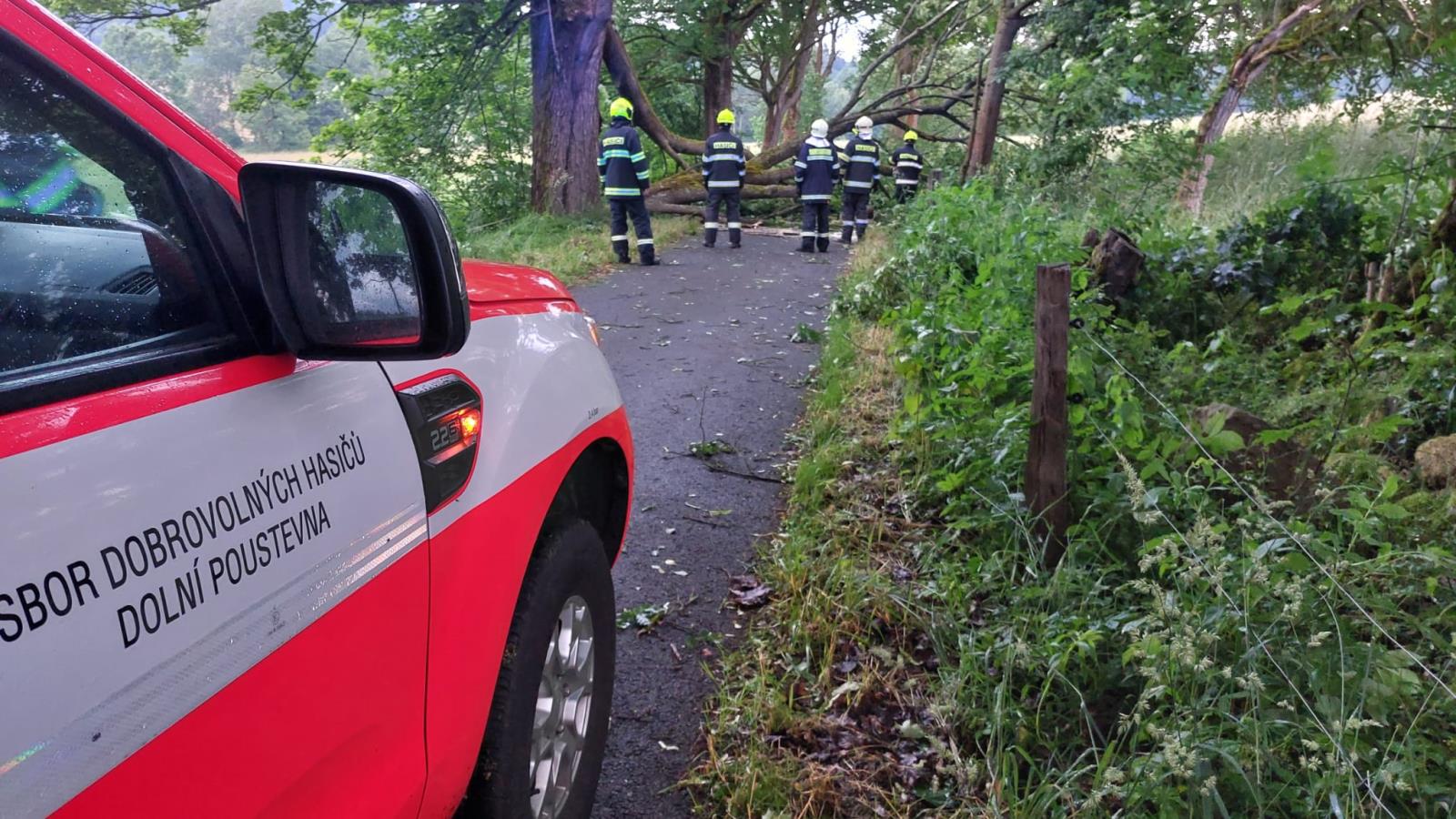 Stromy Šluknovsko (11).jpg