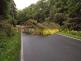 Suchov