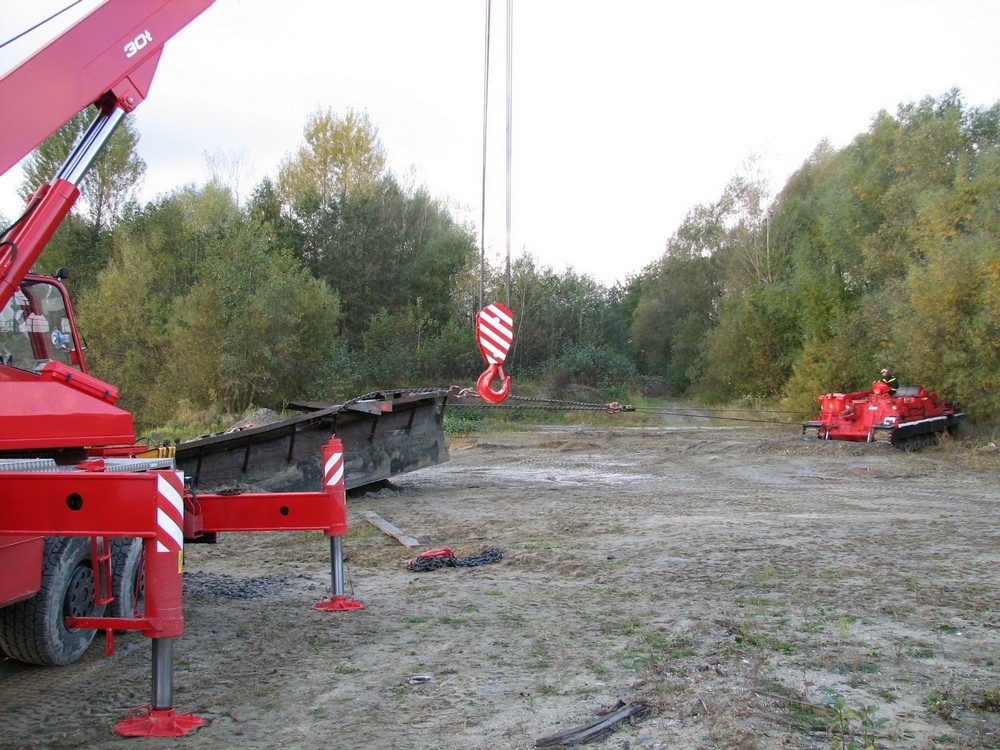 T5.JPG