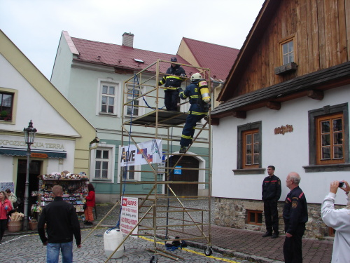 TFA2014_tratStramberk (NJ) (3).JPG