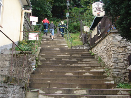 TFA2014_tratStramberk (NJ) (5).JPG