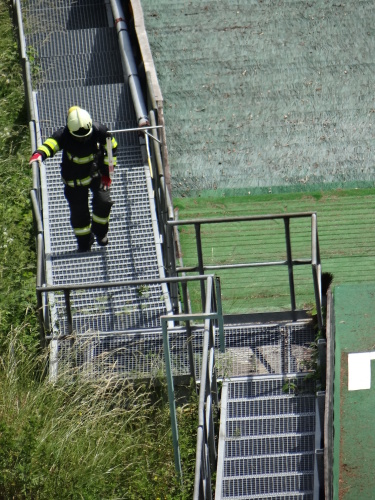 TFAFrenstatskymamut2015_mustek (1).JPG