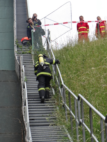 TFAFrenstatskymamut2015_mustek (19).JPG