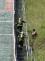 TFAFrenstatskymamut2015_mustek (23)
