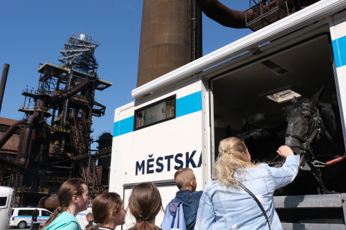 TFAOstravskavez2019_peku (9).JPG
