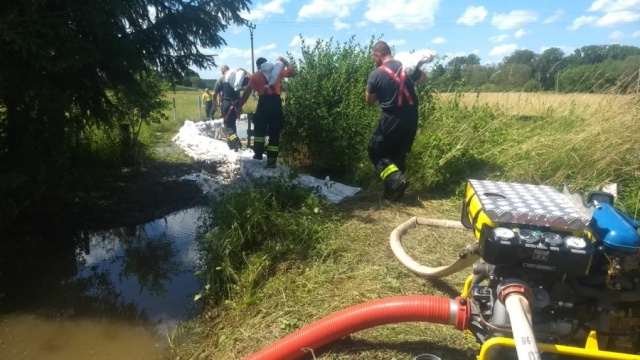 TP Borohrádek (1).jpeg