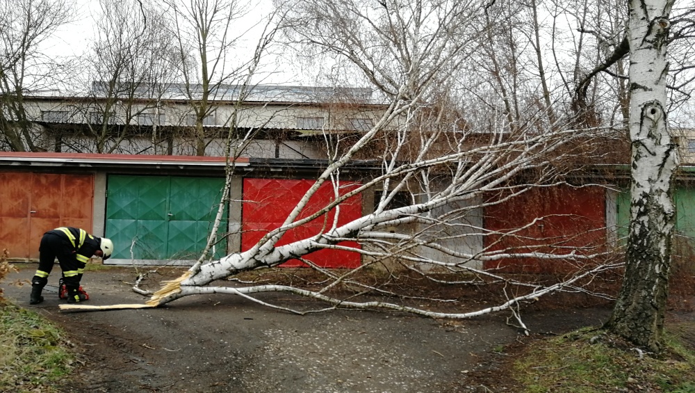 TP Hořice, Riegrova.jpg