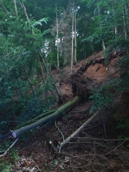 TP Skuhrov nad Bělou (2).jpg