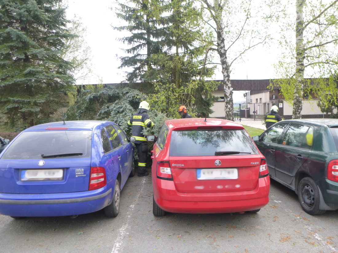 TP strom, Dobruška (2).JPG