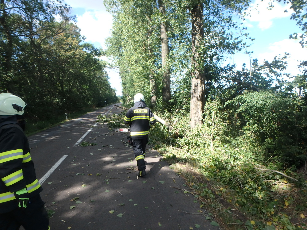 TP strom Nový Bydžov.JPG