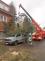 TP stromy, Trutnov (1)