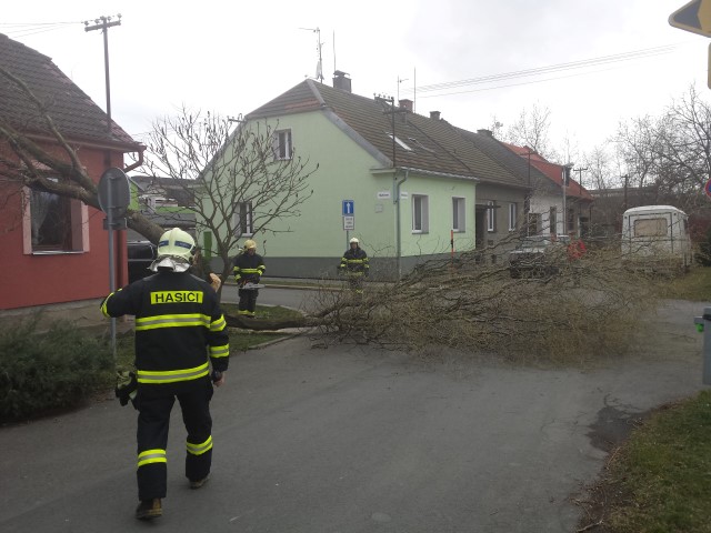 TP_olomouc,martinova_16-3-2014