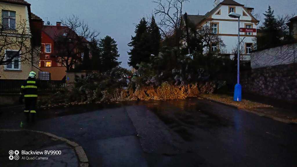 Teplice (1).jpg