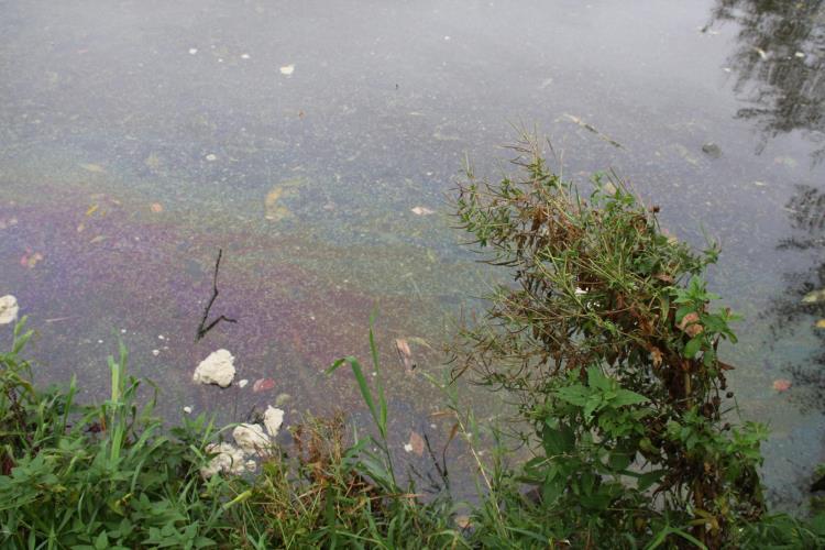 UNL MoravaIII (4).JPG