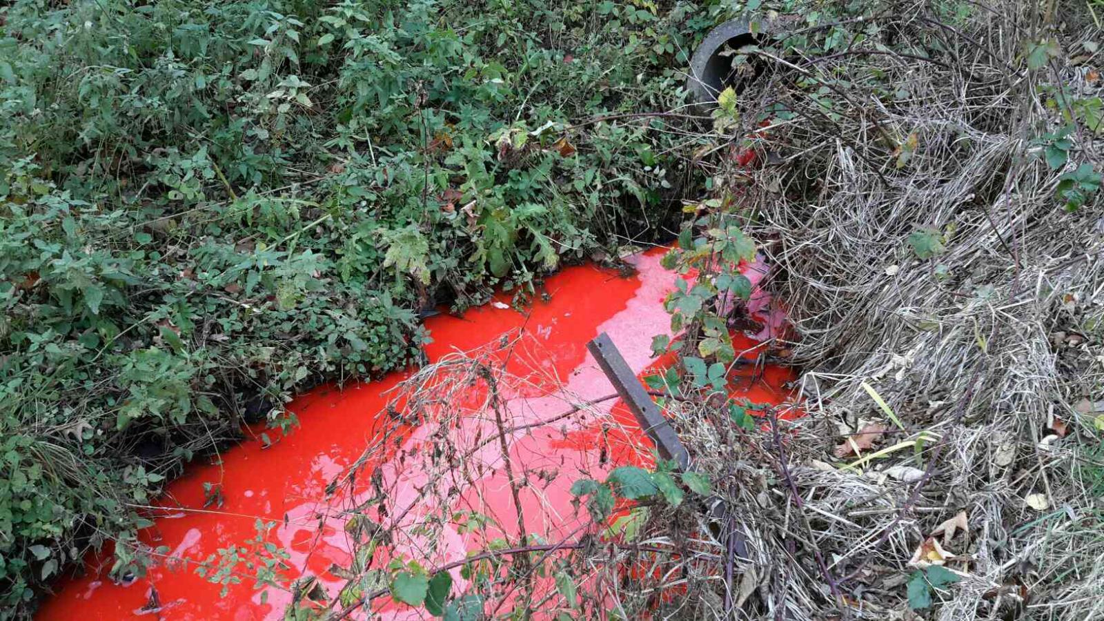 UNL_jednov_3-11-2017