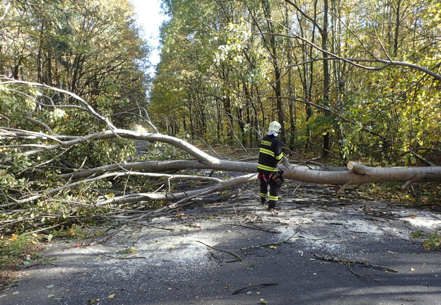 Události 2018-012.JPG